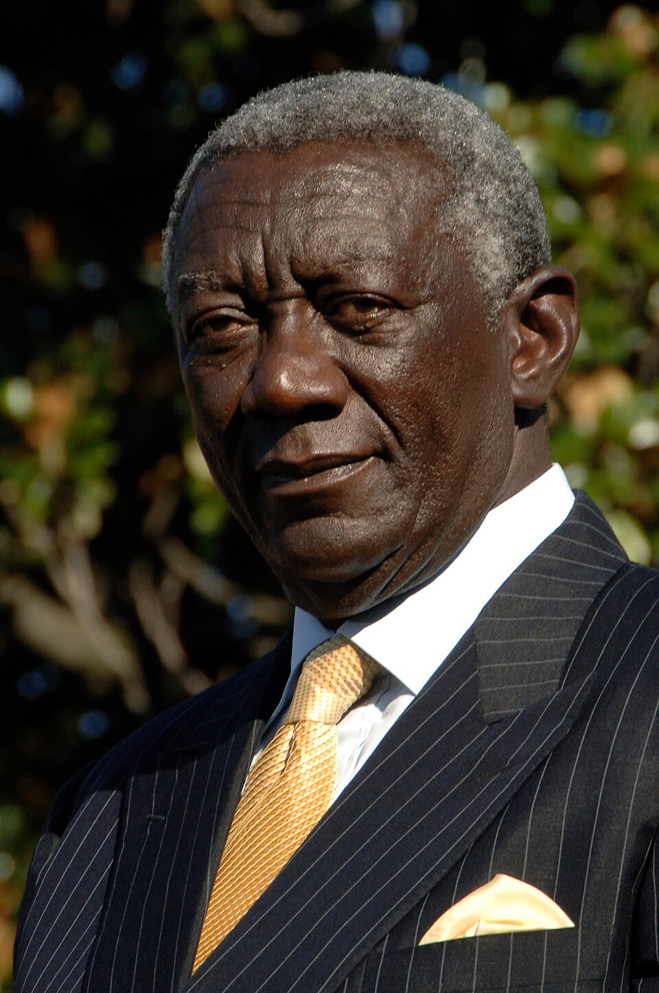 His Excellency John Agyekum Kufuor